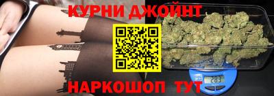 гашик Берёзовский