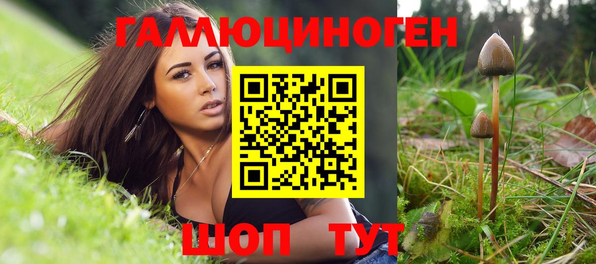 Псилоцибиновые грибы MAGIC MUSHROOMS  Галлюциногенные грибы Psilocybine cubensis  сколько стоит  Вход с VPN  Всеволожск 