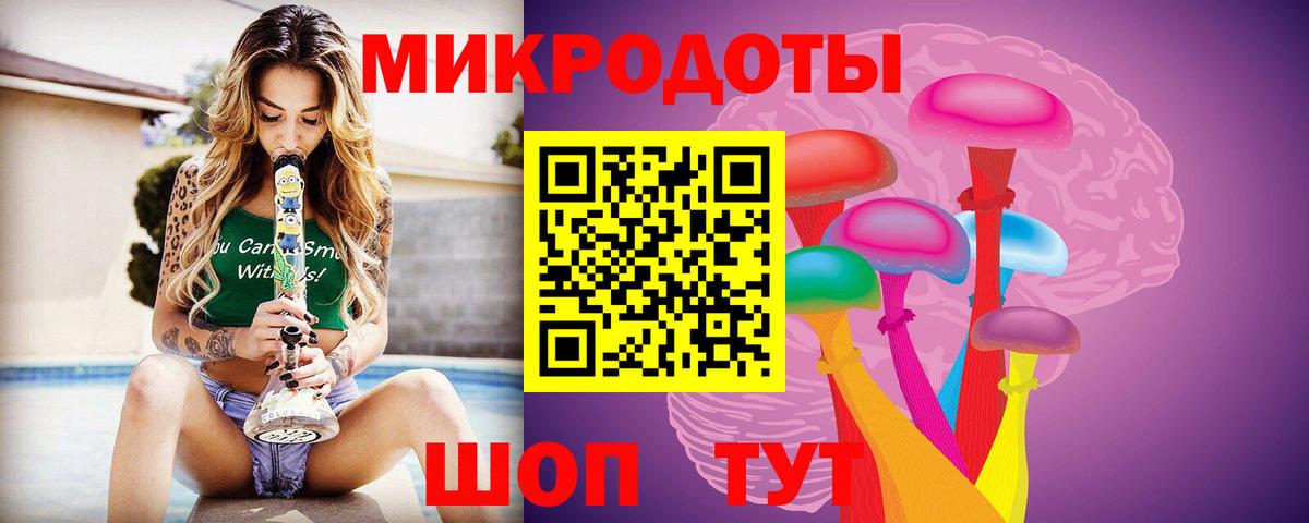 Псилоцибиновые грибы Cubensis Всеволожск